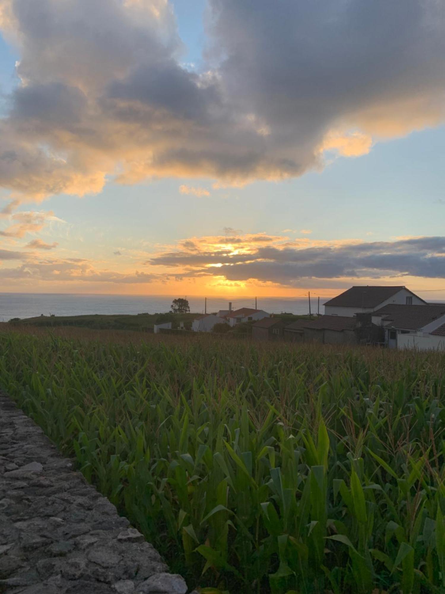Casa Do Riacho Villa นอร์เดสติ ภายนอก รูปภาพ